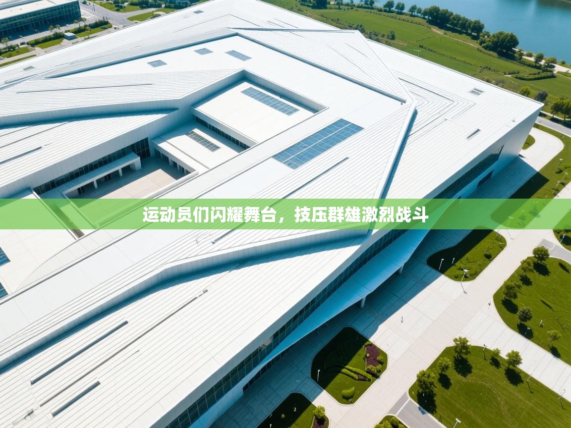 运动员们闪耀舞台，技压群雄激烈战斗