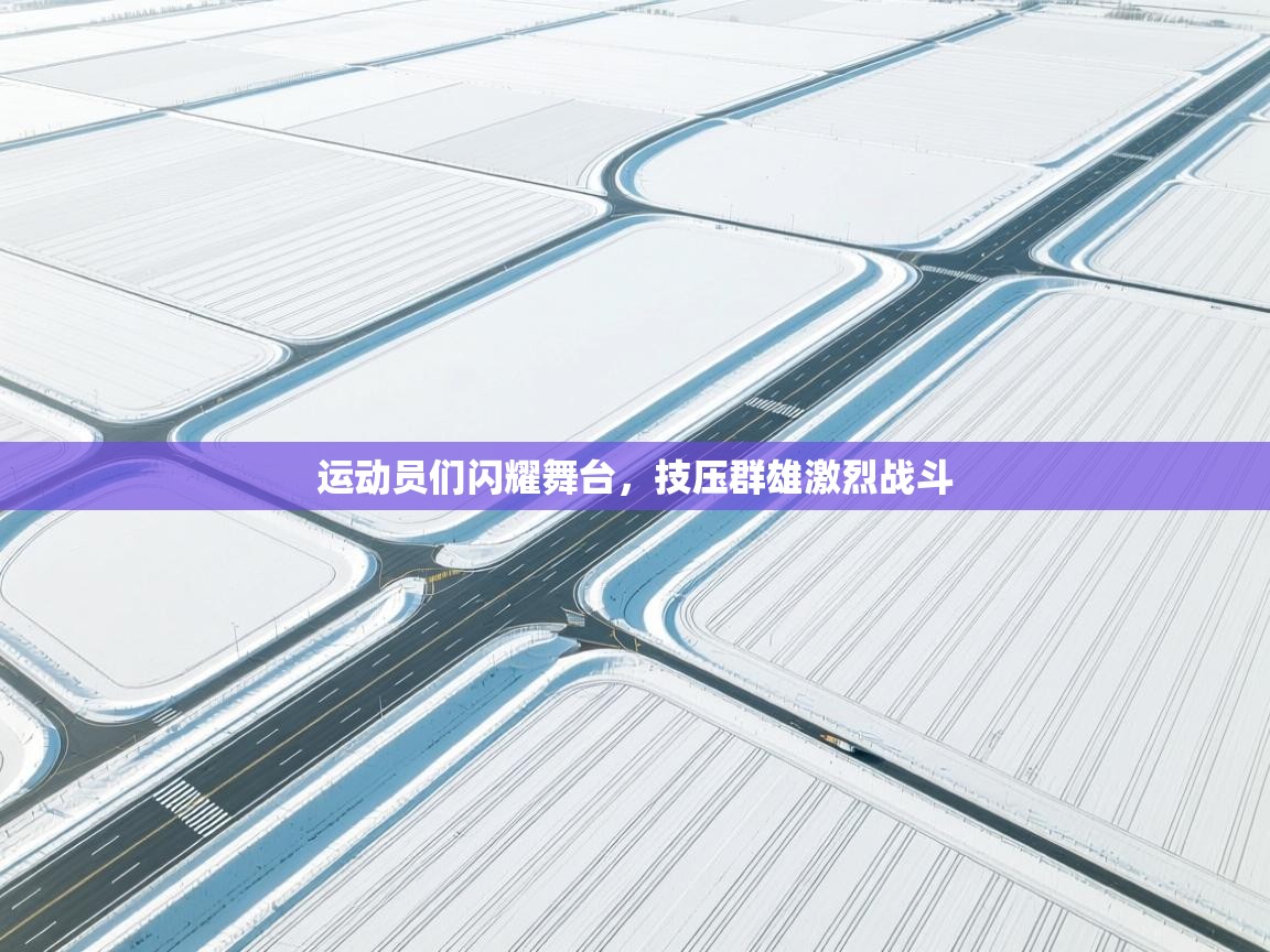 运动员们闪耀舞台,技压群雄激烈战斗 第2张