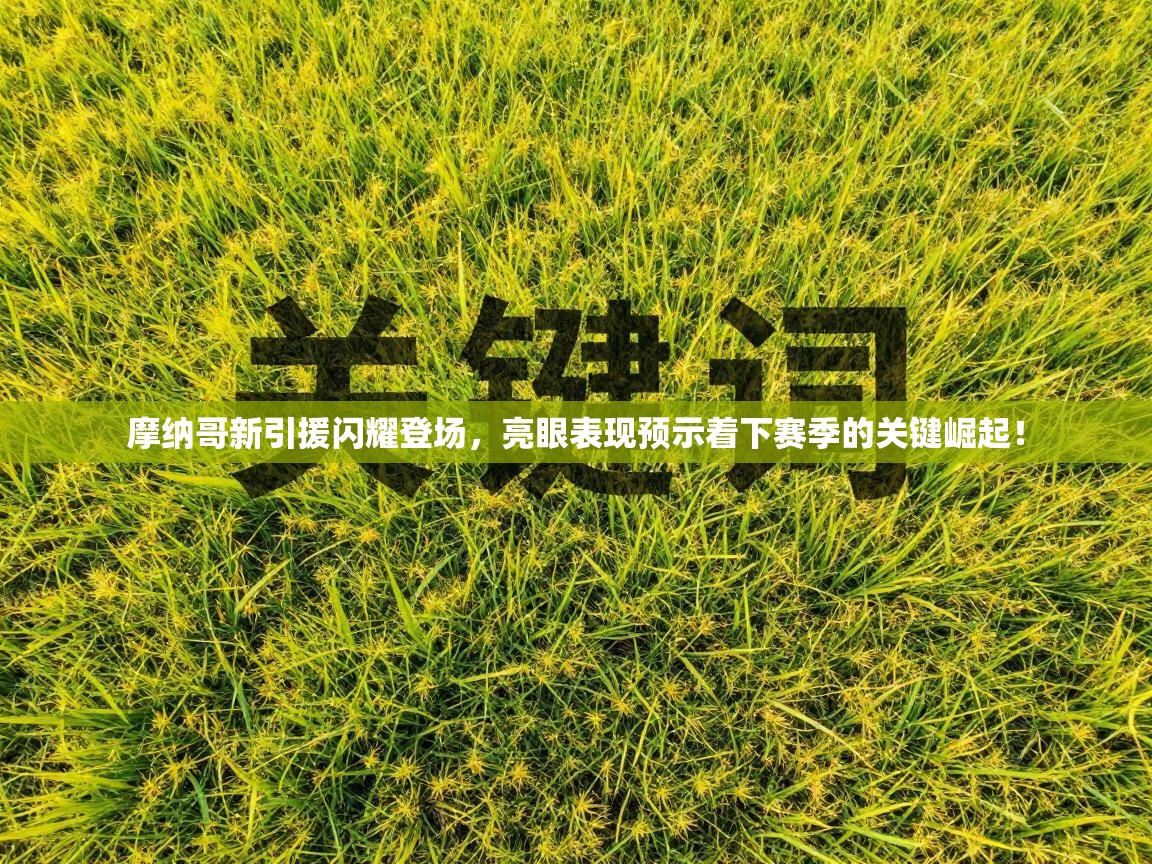 摩纳哥新引援闪耀登场，亮眼表现预示着下赛季的关键崛起！  第2张