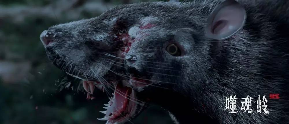 玫瑰队表现飘忽，成为球队进攻谜团